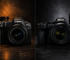Canon EOS R8 یا Nikon Z5؟ مقایسه دو دوربین فول‌فریم محبوب برای عکاسان حرفه‌ای