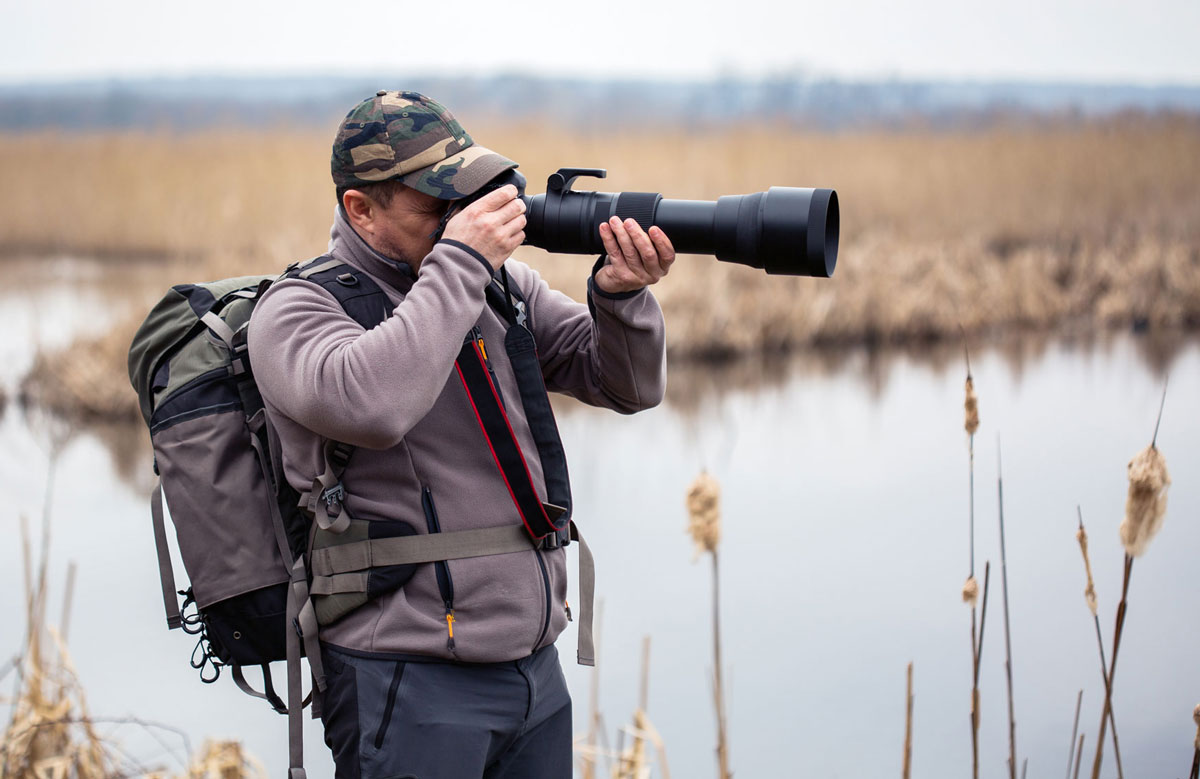 انتخاب دوربین برای عکاسی حیات وحش