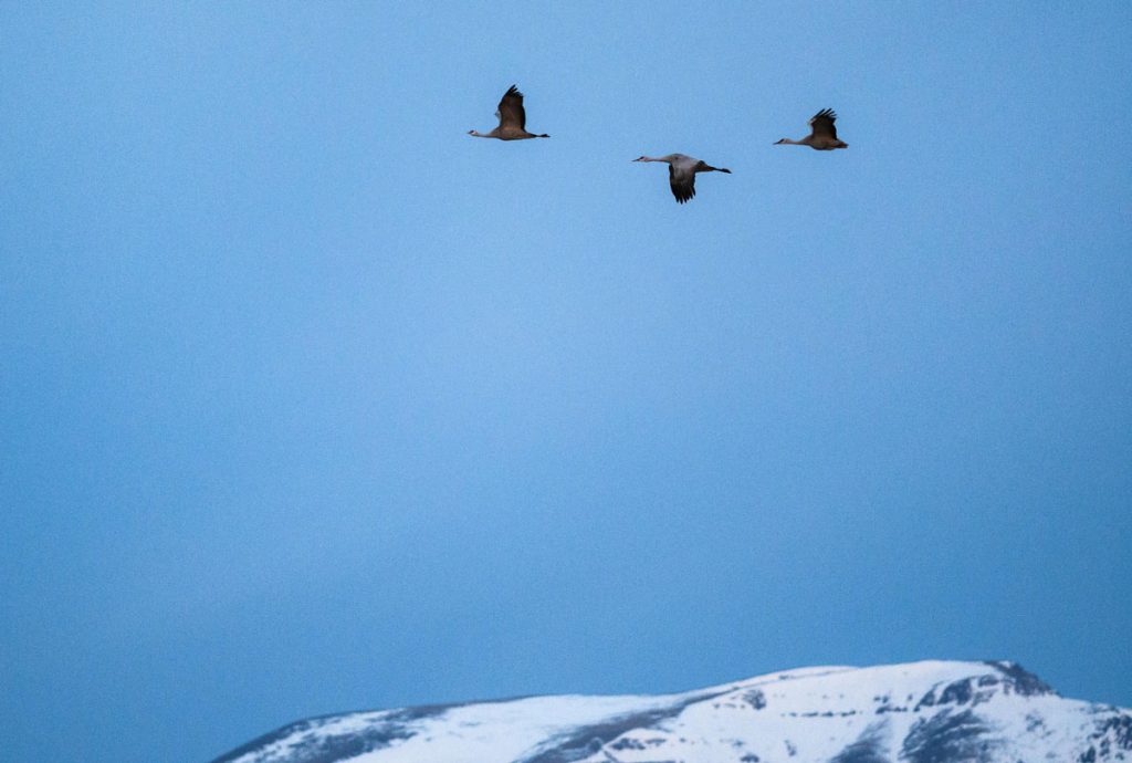 ISO چیست؟ راهنمای کامل برای مبتدیان