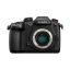 دوربین بدون آینه پاناسونیک Panasonic Lumix DC-GH5S Mirrorless Micro body