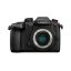 دوربین بدون آینه پاناسونیک Panasonic Lumix DC-GH5 II