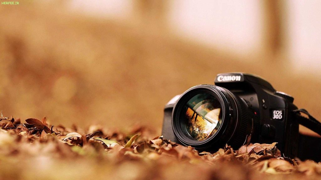 عکاسی در طبیعت
